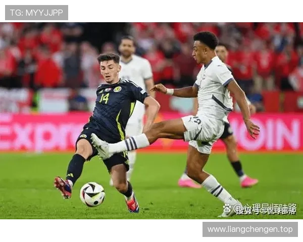 匈牙利欧洲杯战力（匈牙利欧洲杯阵容分析）sports